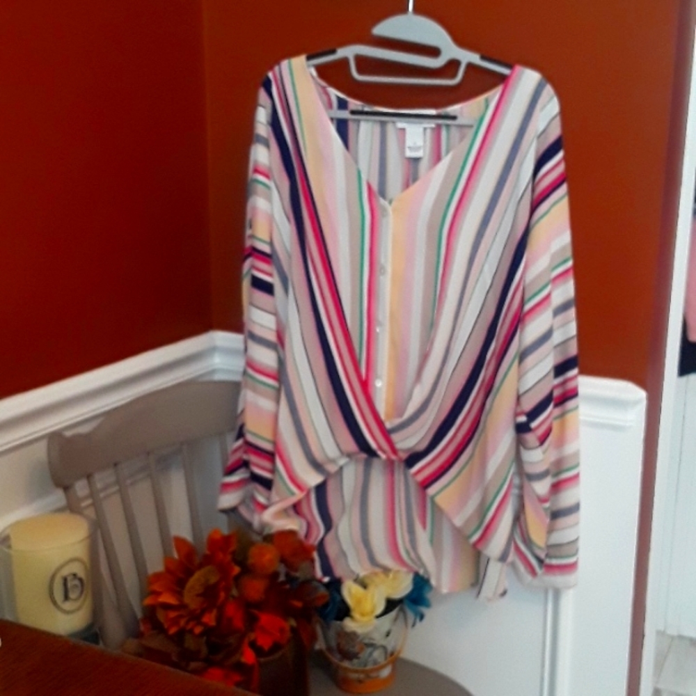 Colorful Peck & Peck Stiped Vneck Long Sleeve Top